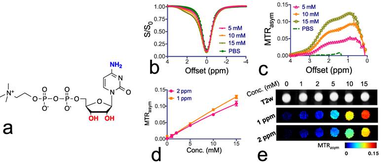 Theranostics Image