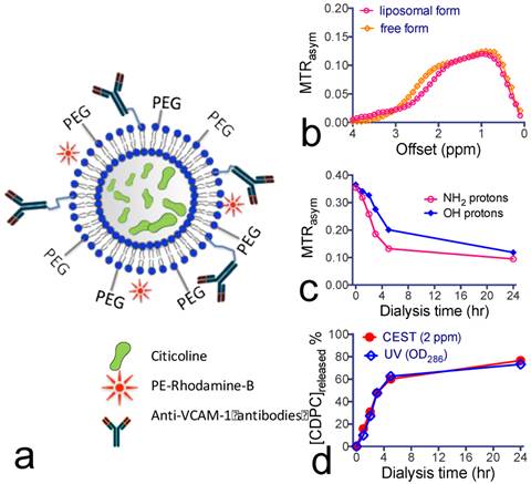 Theranostics Image