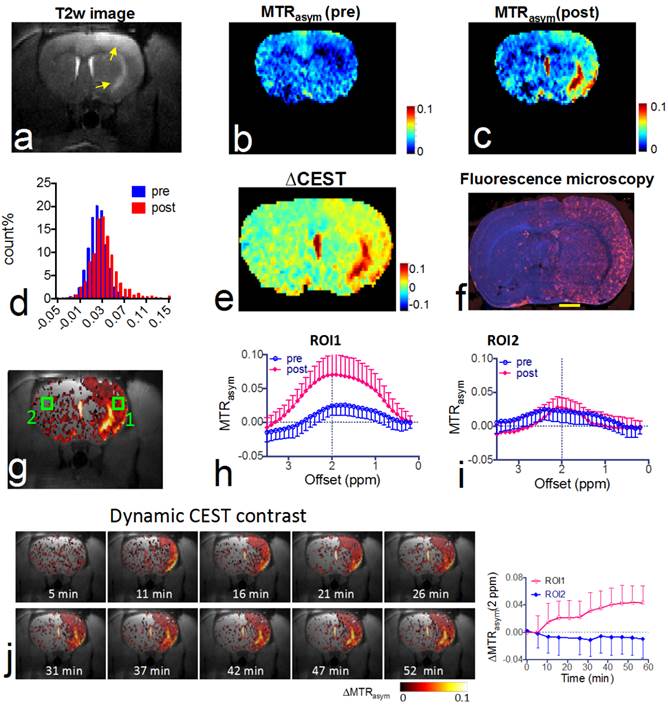 Theranostics Image