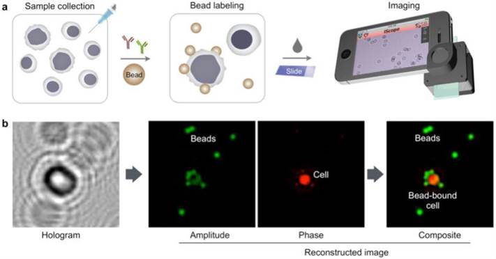 Theranostics Image