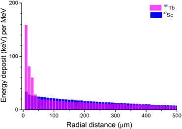 Theranostics Image