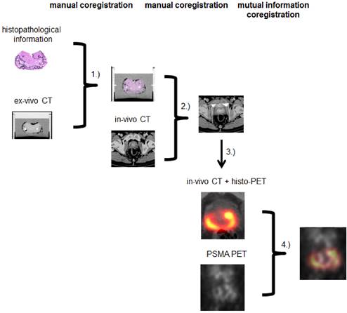 Theranostics Image