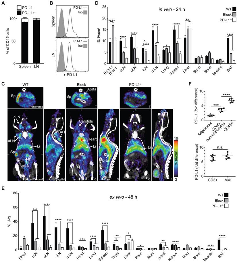 Theranostics Image