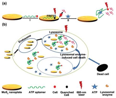 Theranostics Image