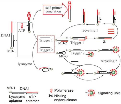 Theranostics Image