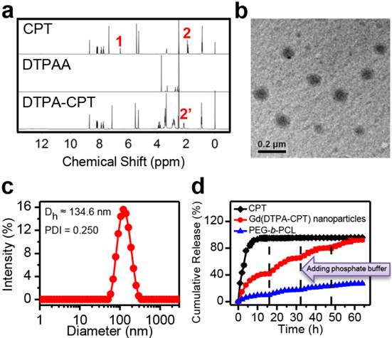 Theranostics Image