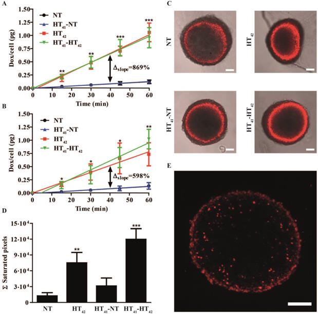 Theranostics Image