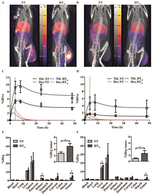 Theranostics Image