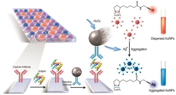 Theranostics Image