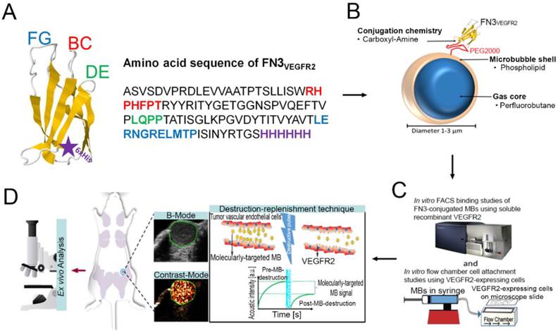 Theranostics Image