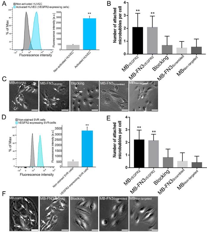 Theranostics Image