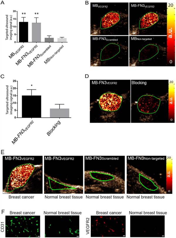 Theranostics Image