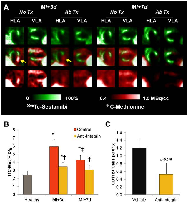 Theranostics Image