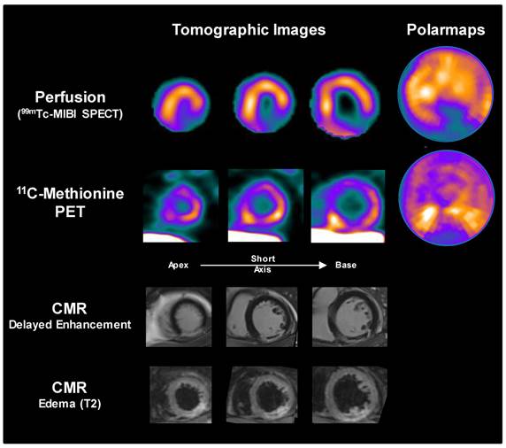 Theranostics Image