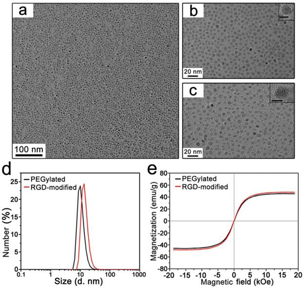 Theranostics Image