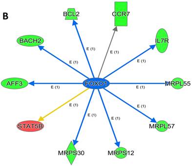 Theranostics Image