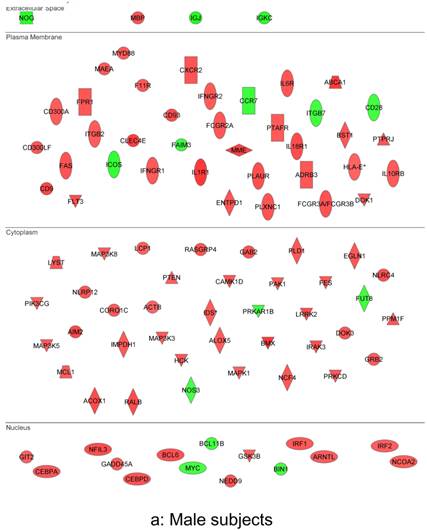 Theranostics Image