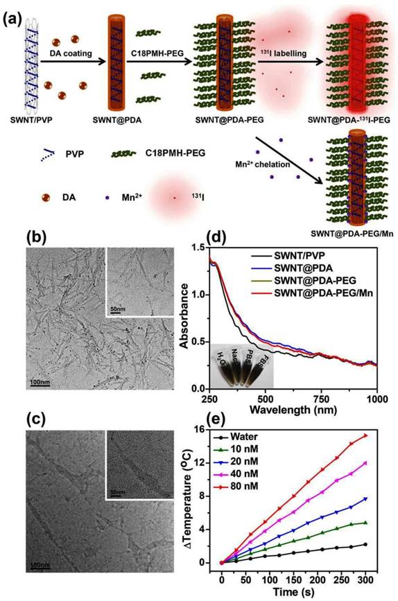 Theranostics Image