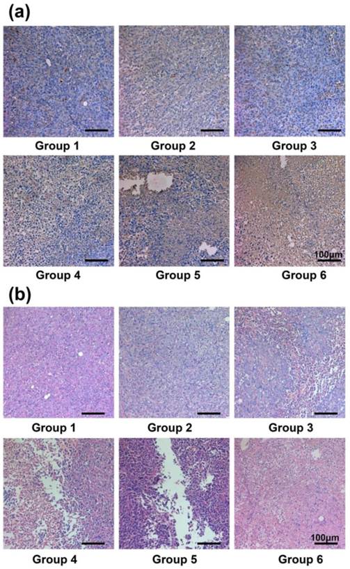 Theranostics Image