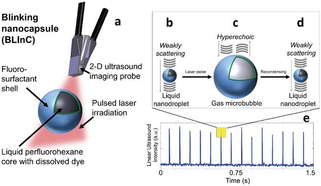 Theranostics Image