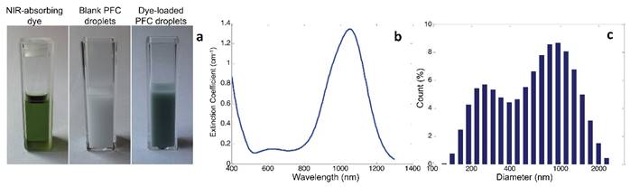 Theranostics Image