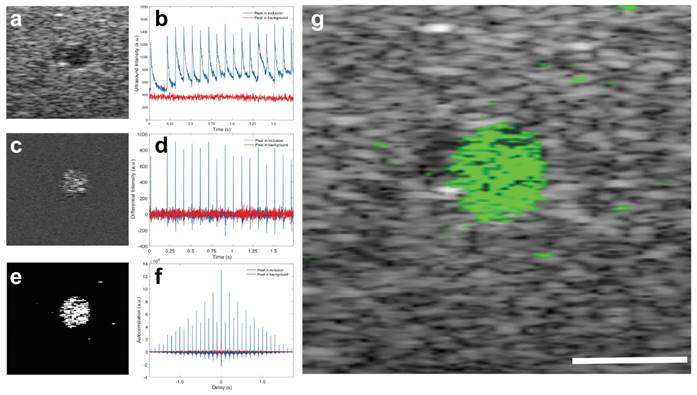 Theranostics Image