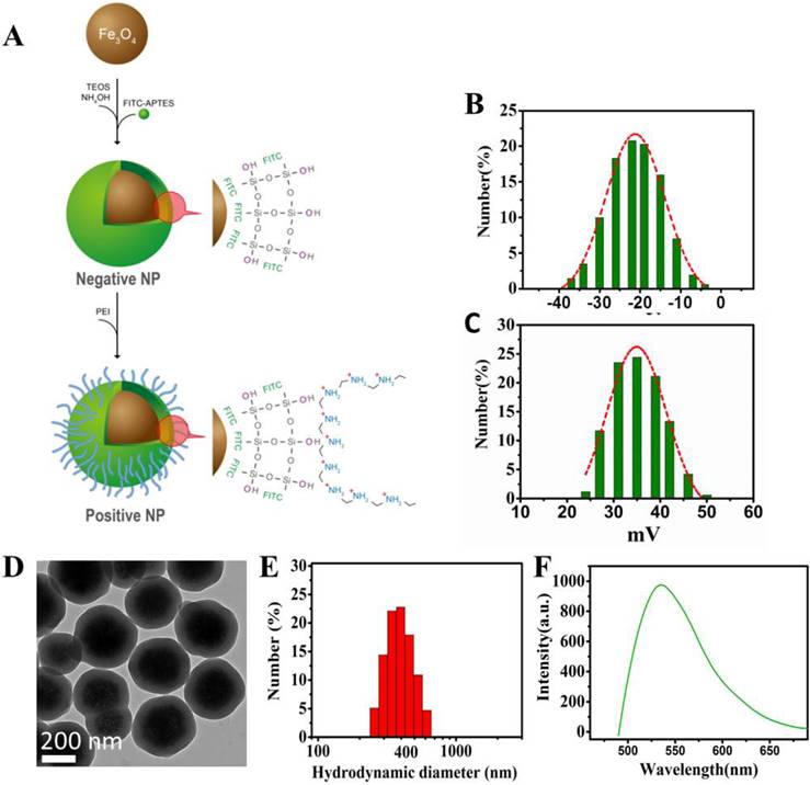 Theranostics Image