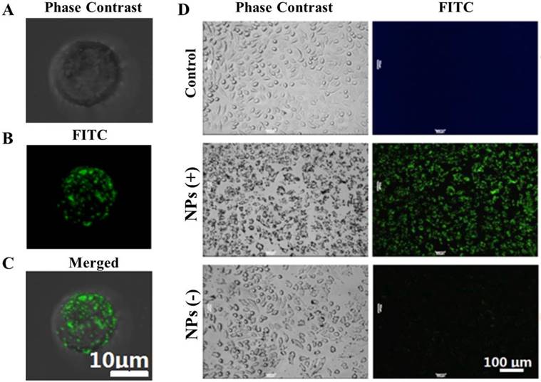 Theranostics Image