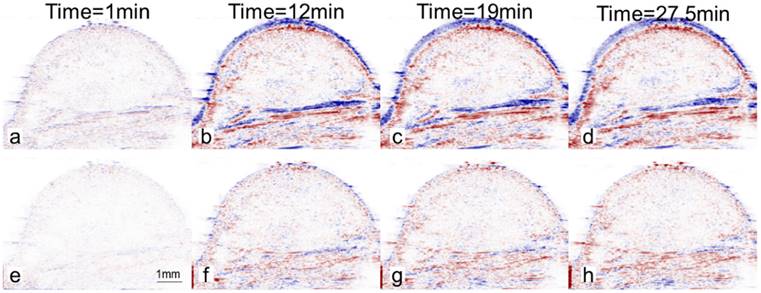 Theranostics Image