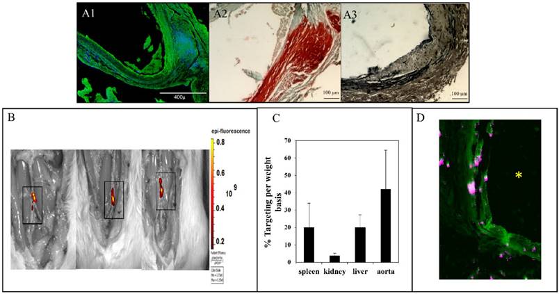 Theranostics Image