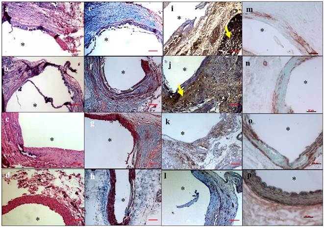 Theranostics Image