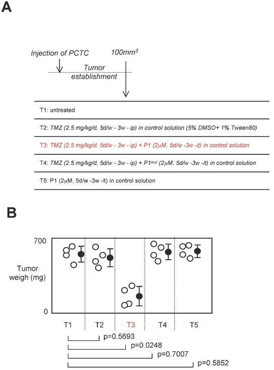 Theranostics Image