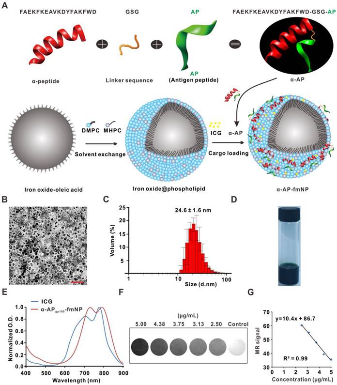 Theranostics Image