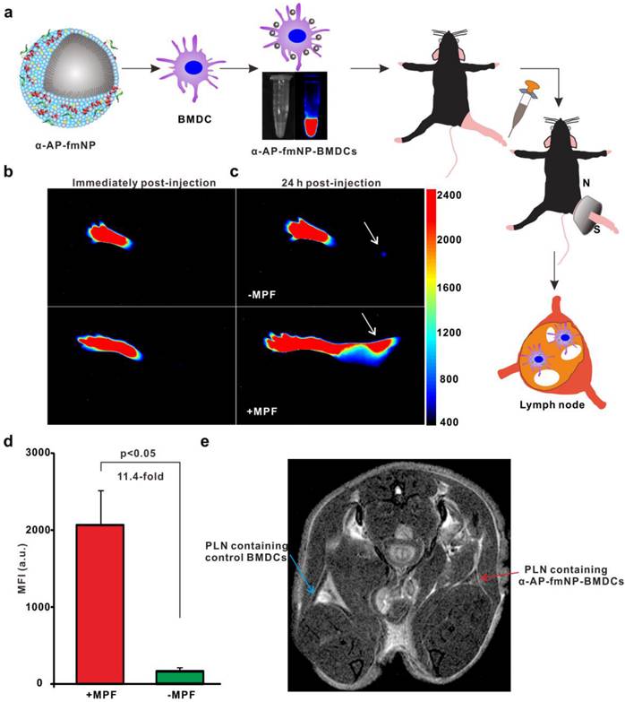 Theranostics Image