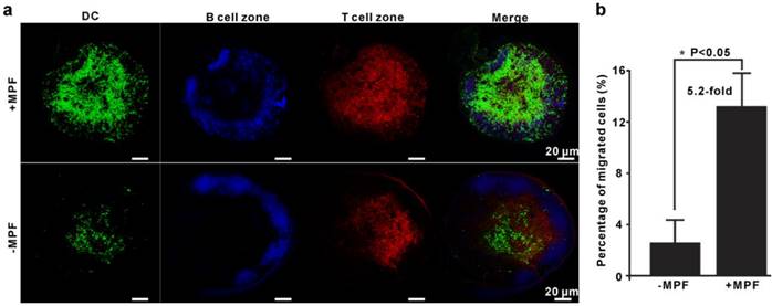 Theranostics Image