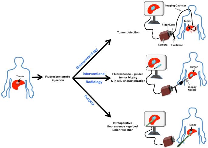 Theranostics Image