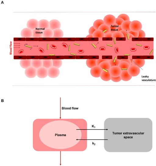 Theranostics Image