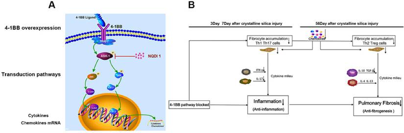 Theranostics Image