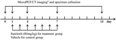 Theranostics Image