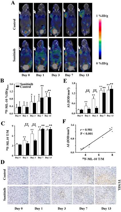 Theranostics Image