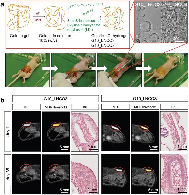 Theranostics Image