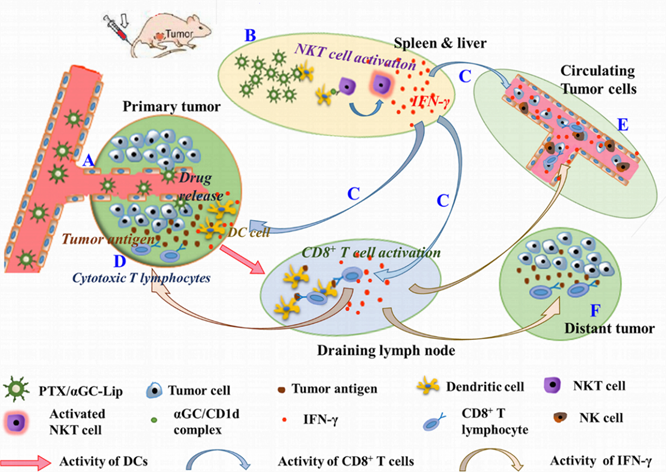 Theranostics Image