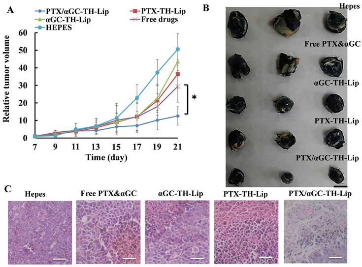 Theranostics Image