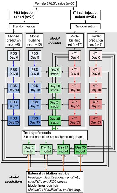 Theranostics Image