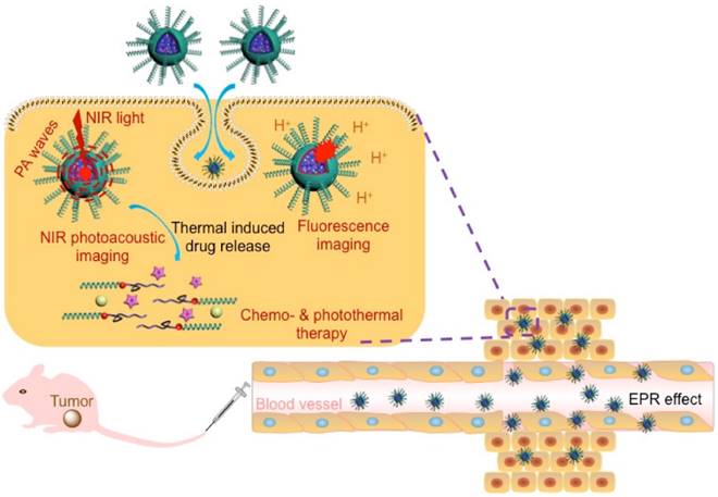 Theranostics Image