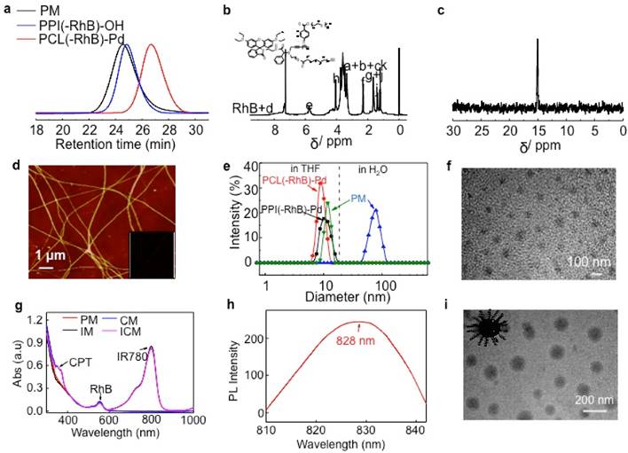 Theranostics Image