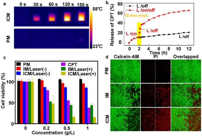 Theranostics Image