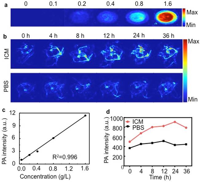 Theranostics Image