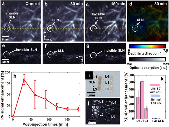 Theranostics Image