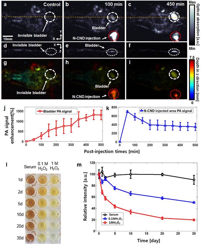 Theranostics Image